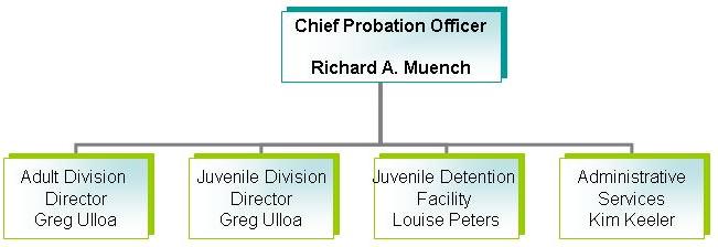 Org Chart overall