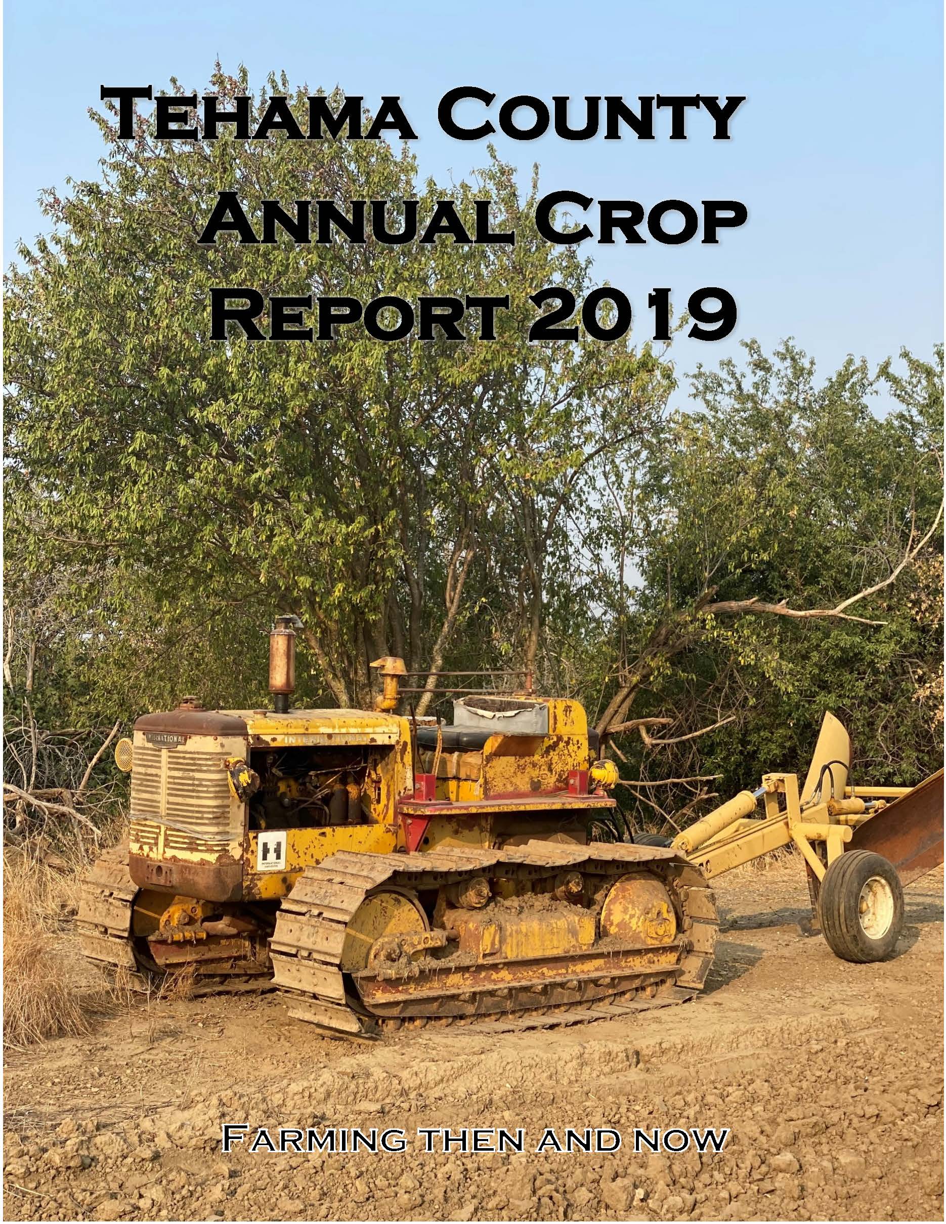 2019 crop report cover
