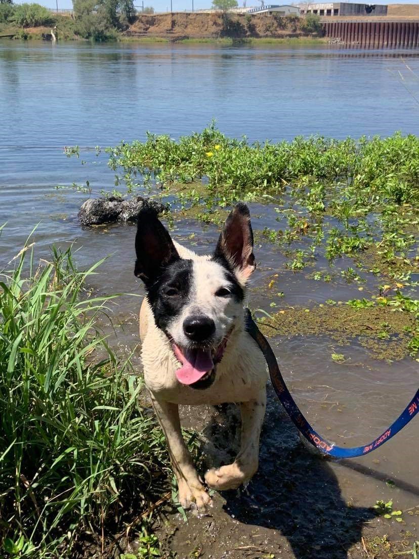 tilly water
